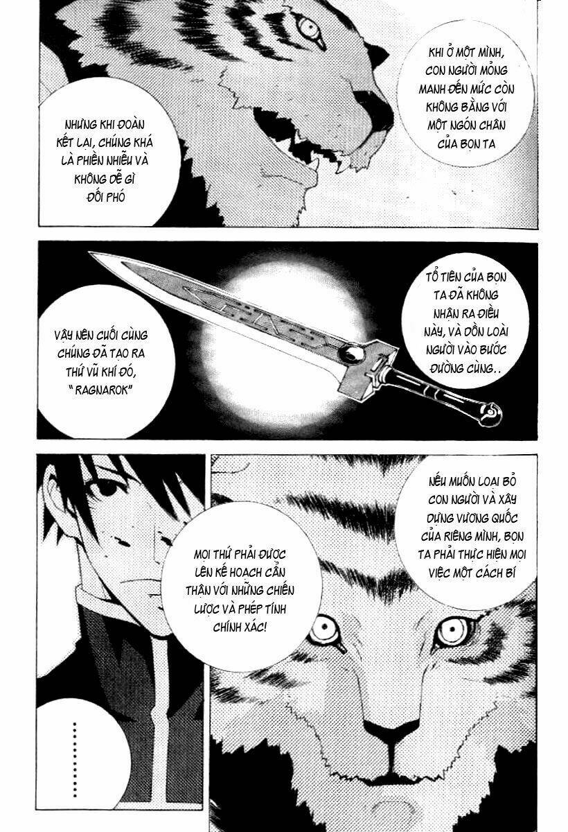 page_19.jpg