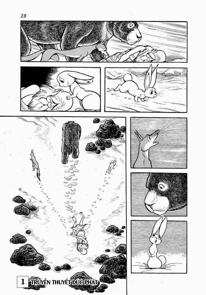 page_18.jpg