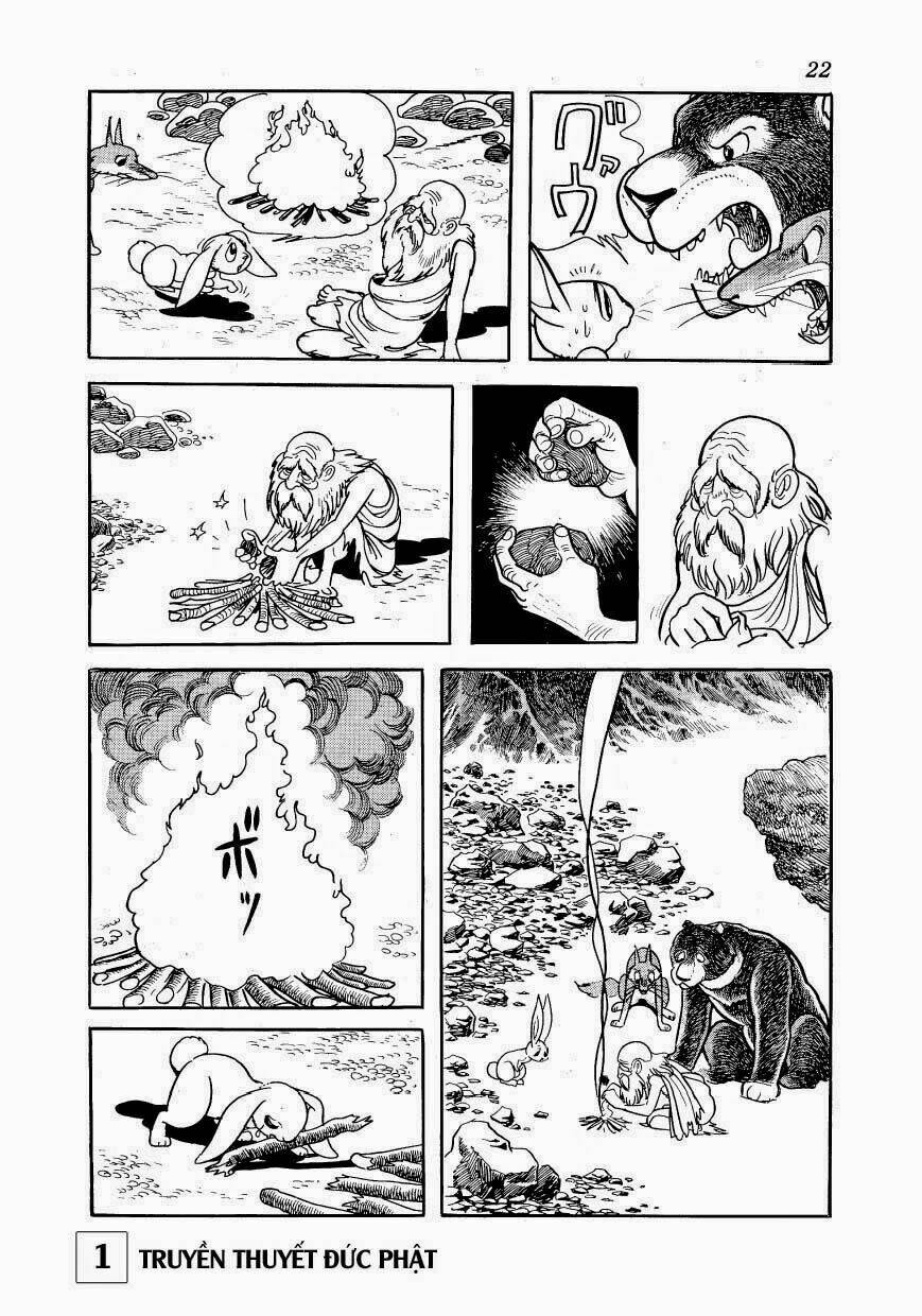 page_21.jpg