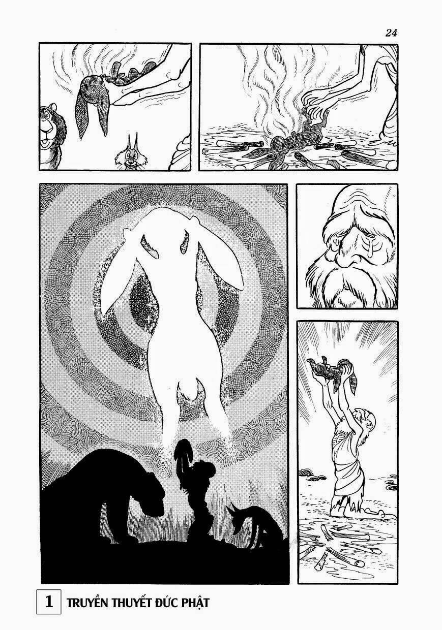 page_23.jpg