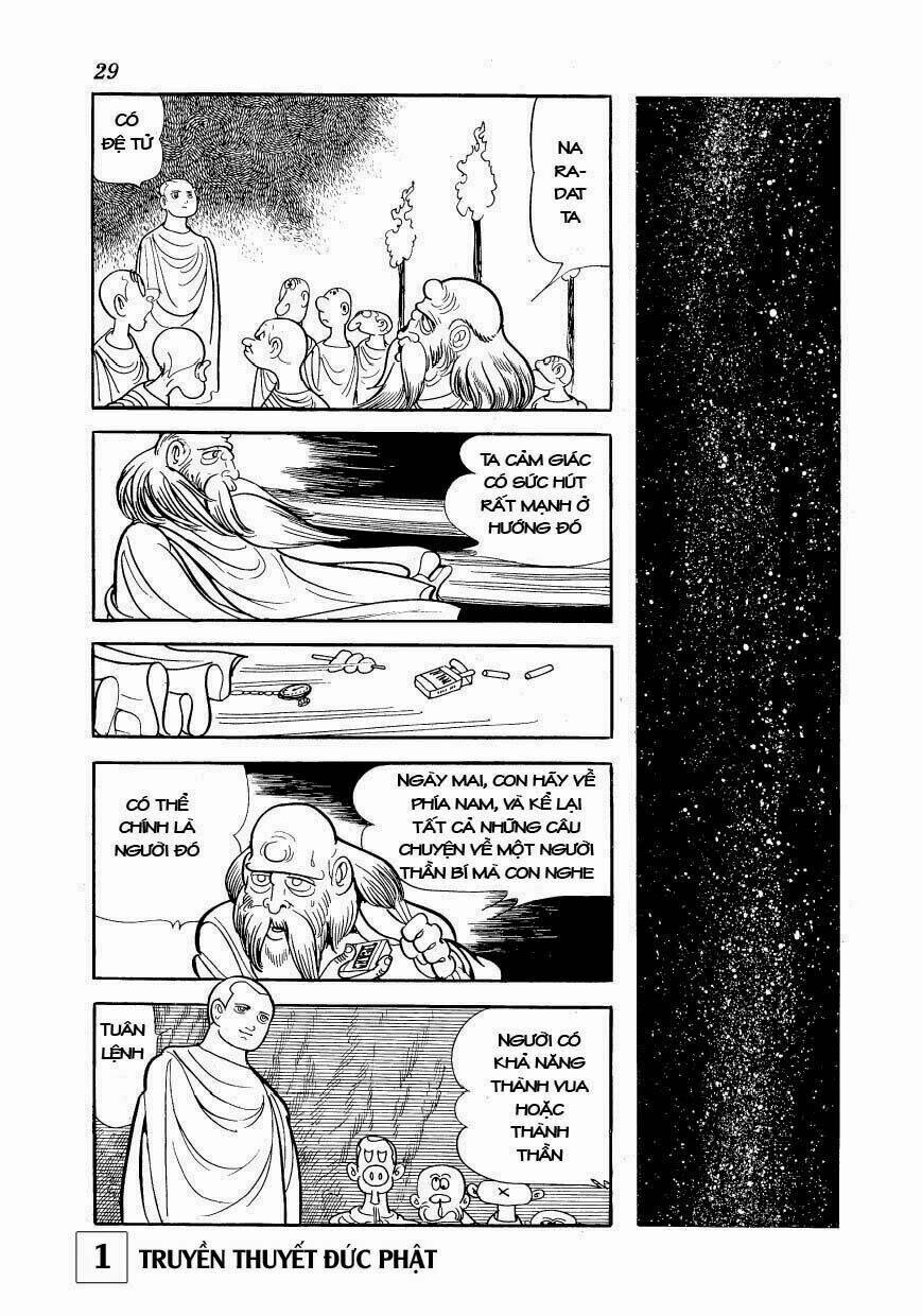 page_28.jpg