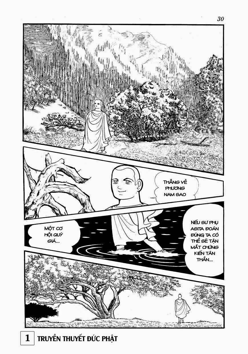 page_29.jpg