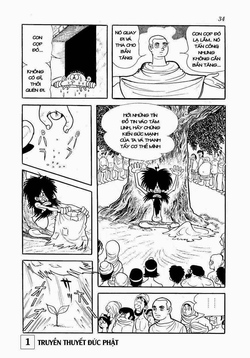 page_33.jpg