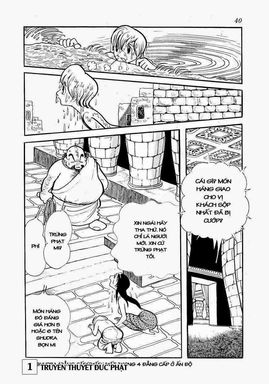 page_39.jpg