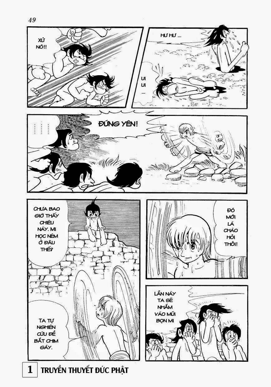page_48.jpg