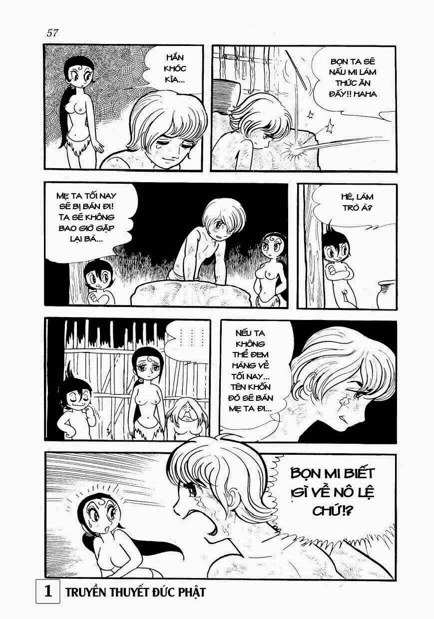 page_56.jpg