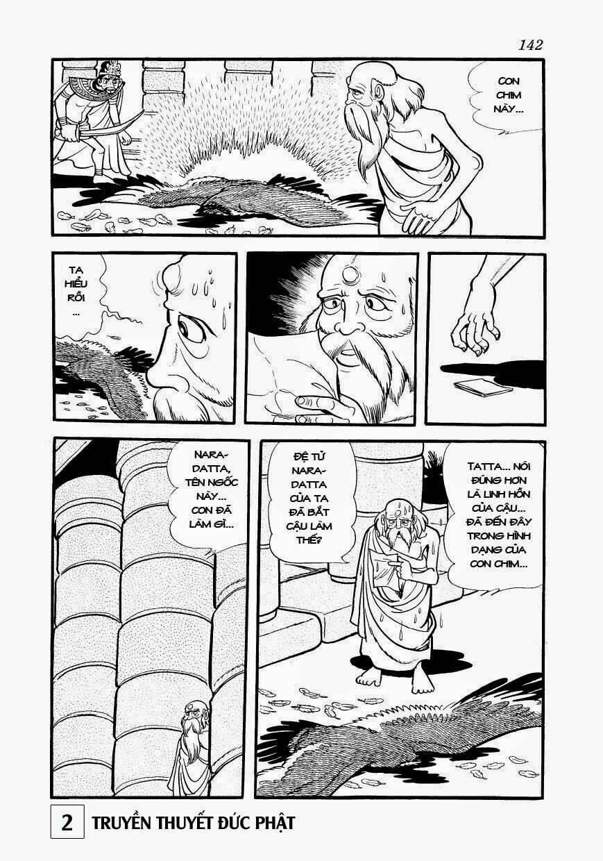 page_12.jpg