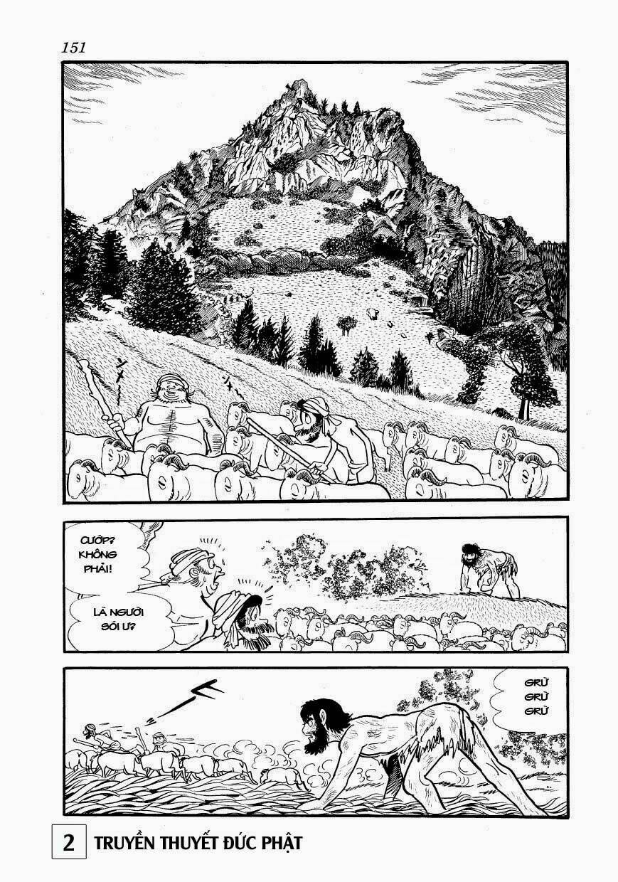page_21.jpg