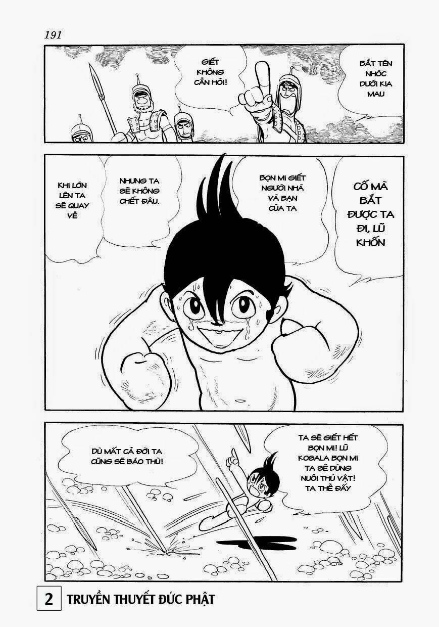 page_11.jpg