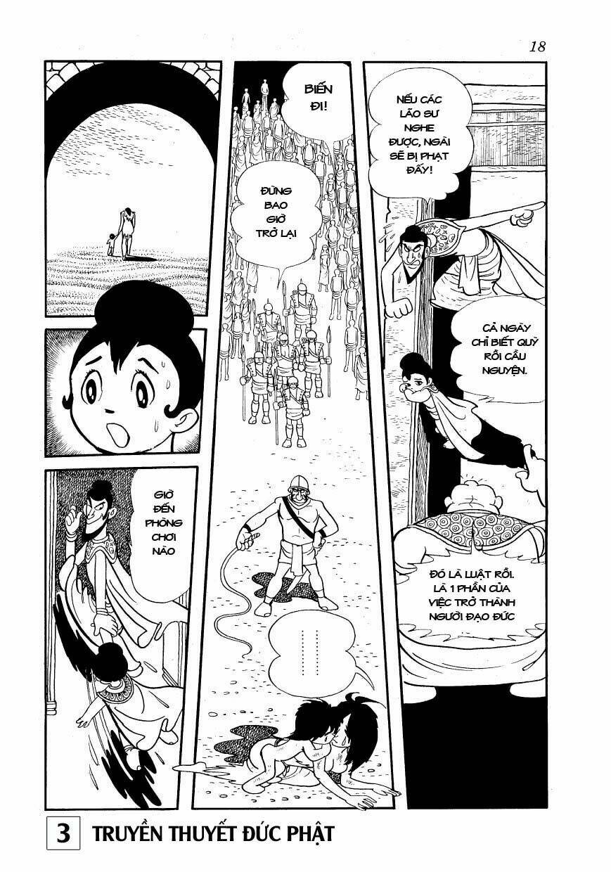 page_19.jpg