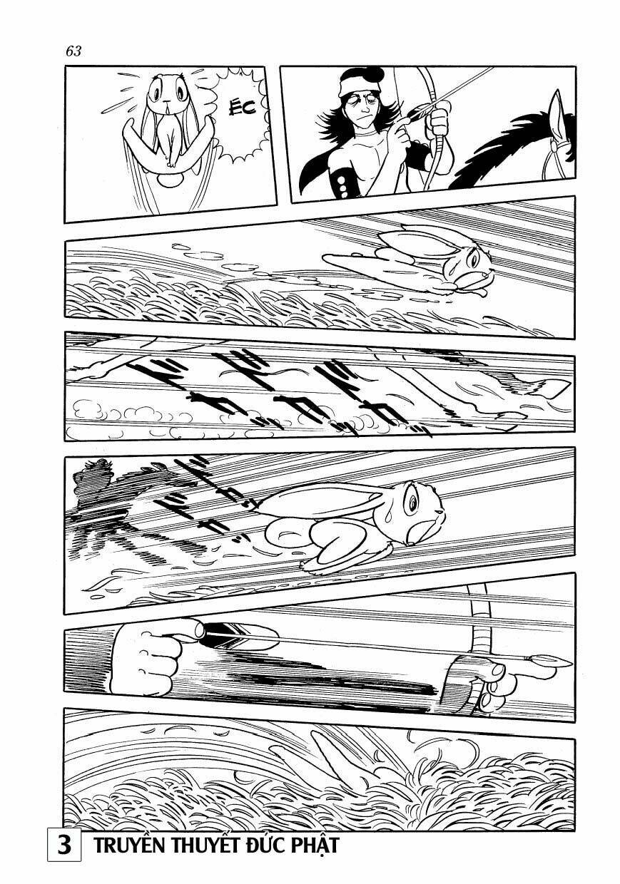 page_16.jpg