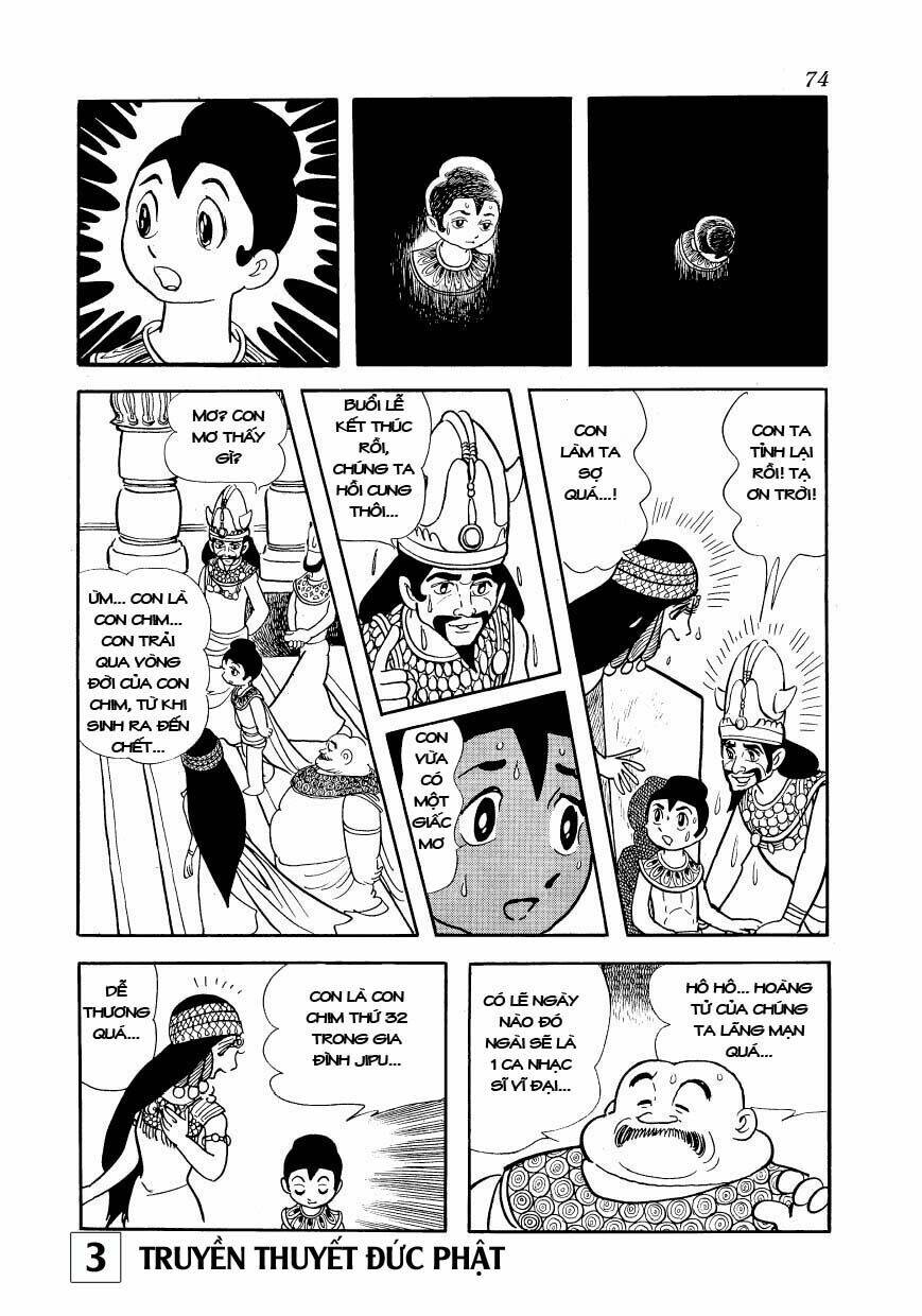 page_27.jpg