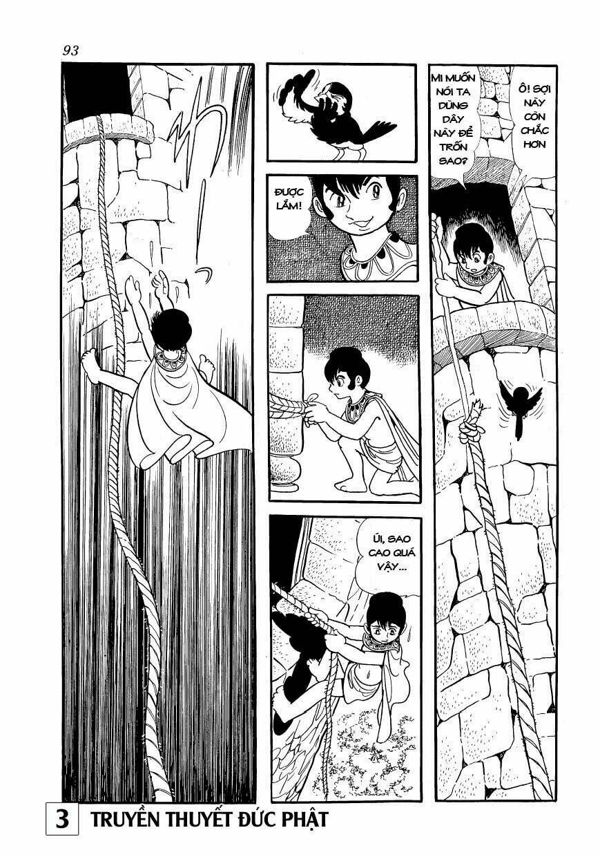 page_11.jpg