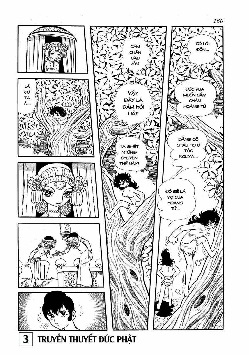 page_28.jpg