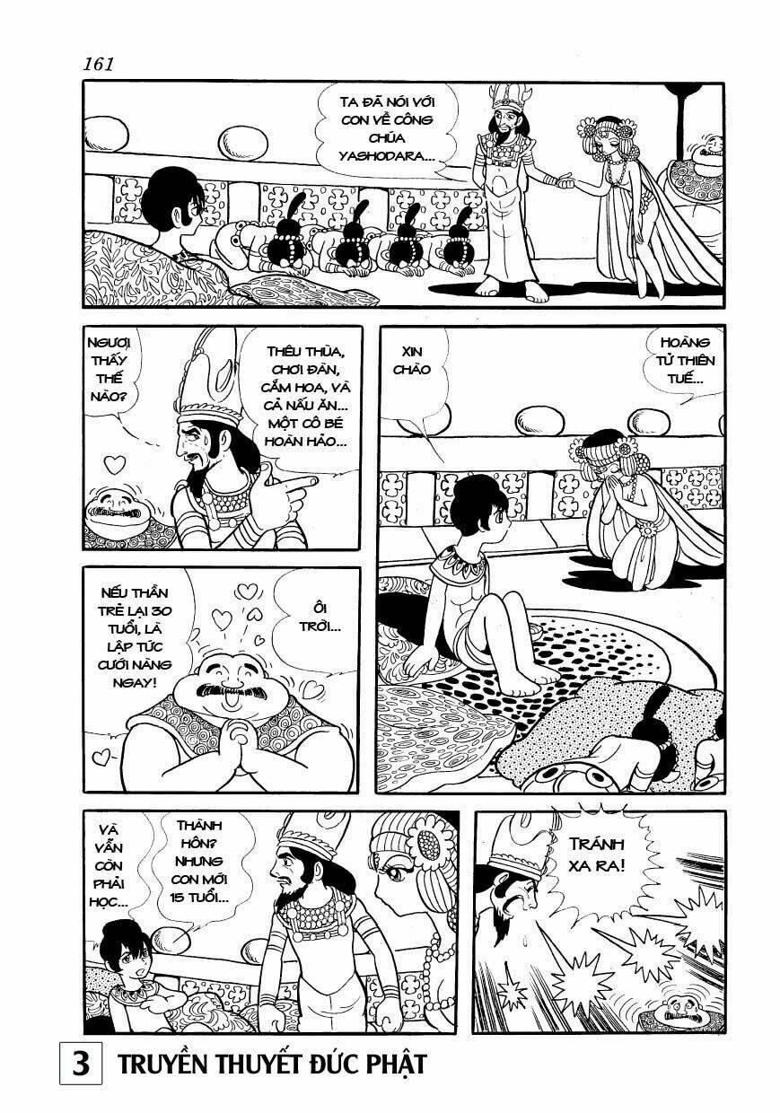 page_29.jpg