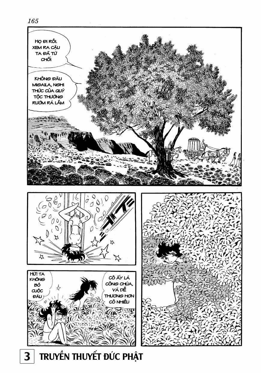 page_33.jpg