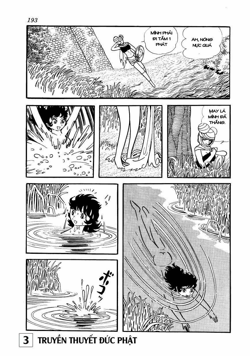 page_24.jpg