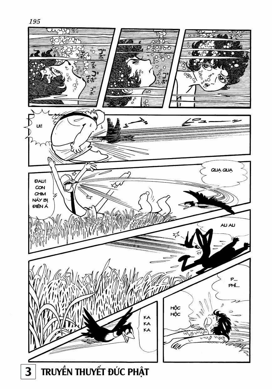 page_26.jpg