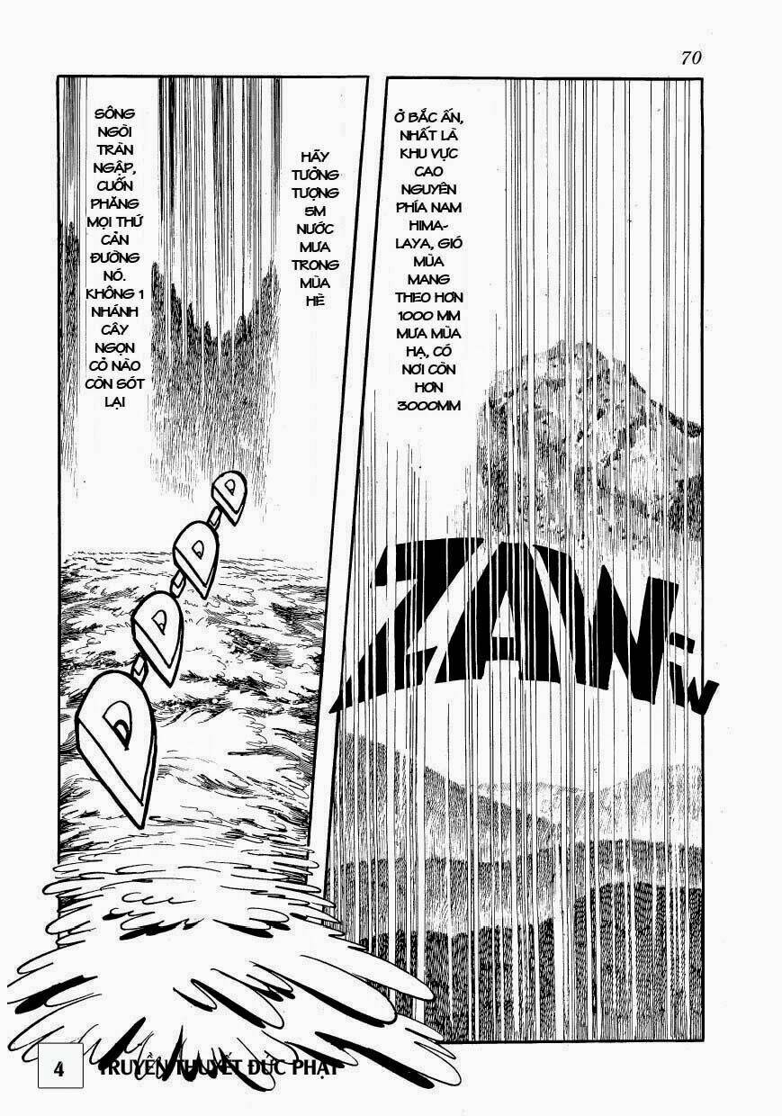 page_23.jpg