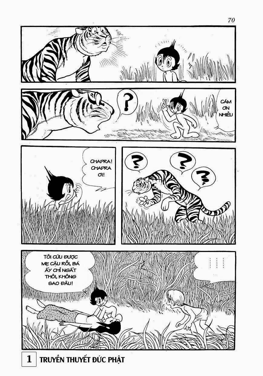 page_13.jpg