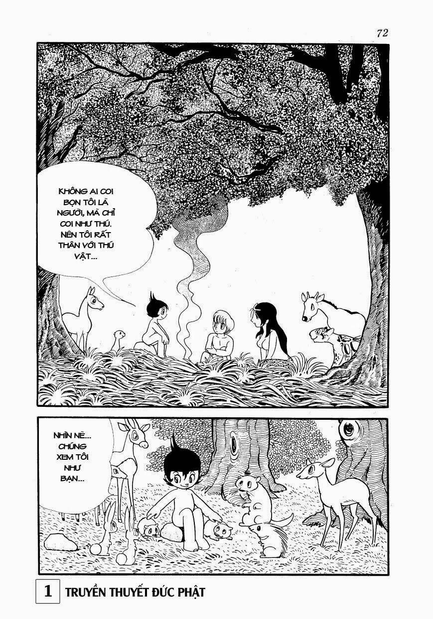 page_15.jpg