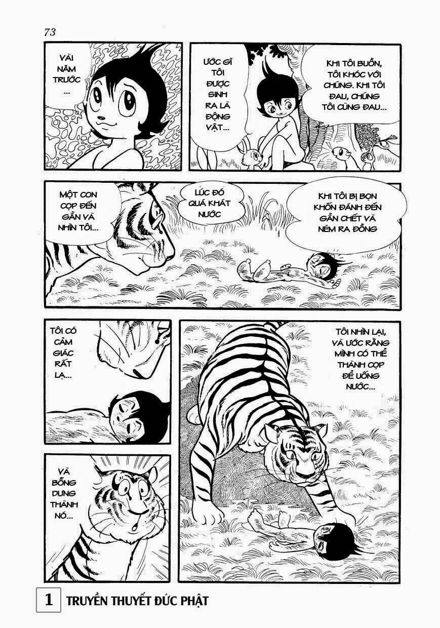 page_16.jpg