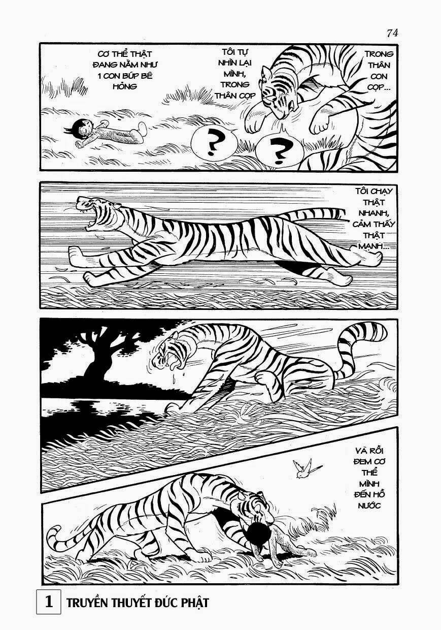 page_17.jpg