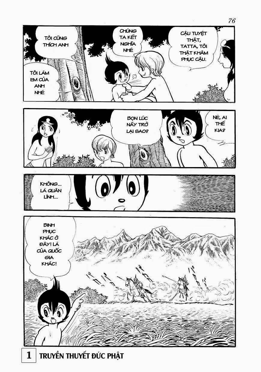 page_19.jpg