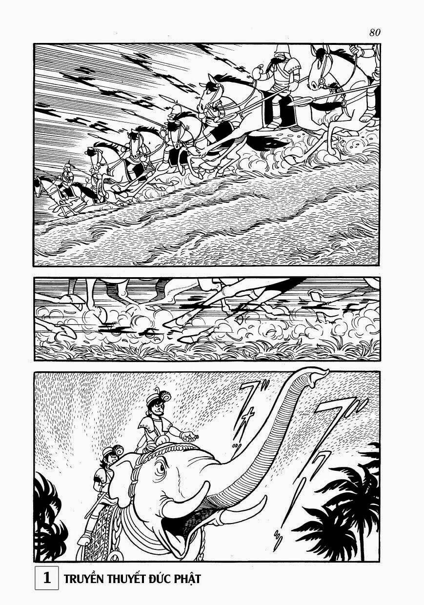 page_23.jpg
