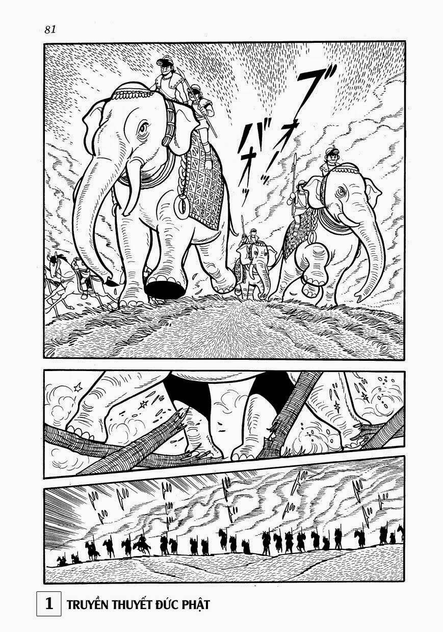page_24.jpg