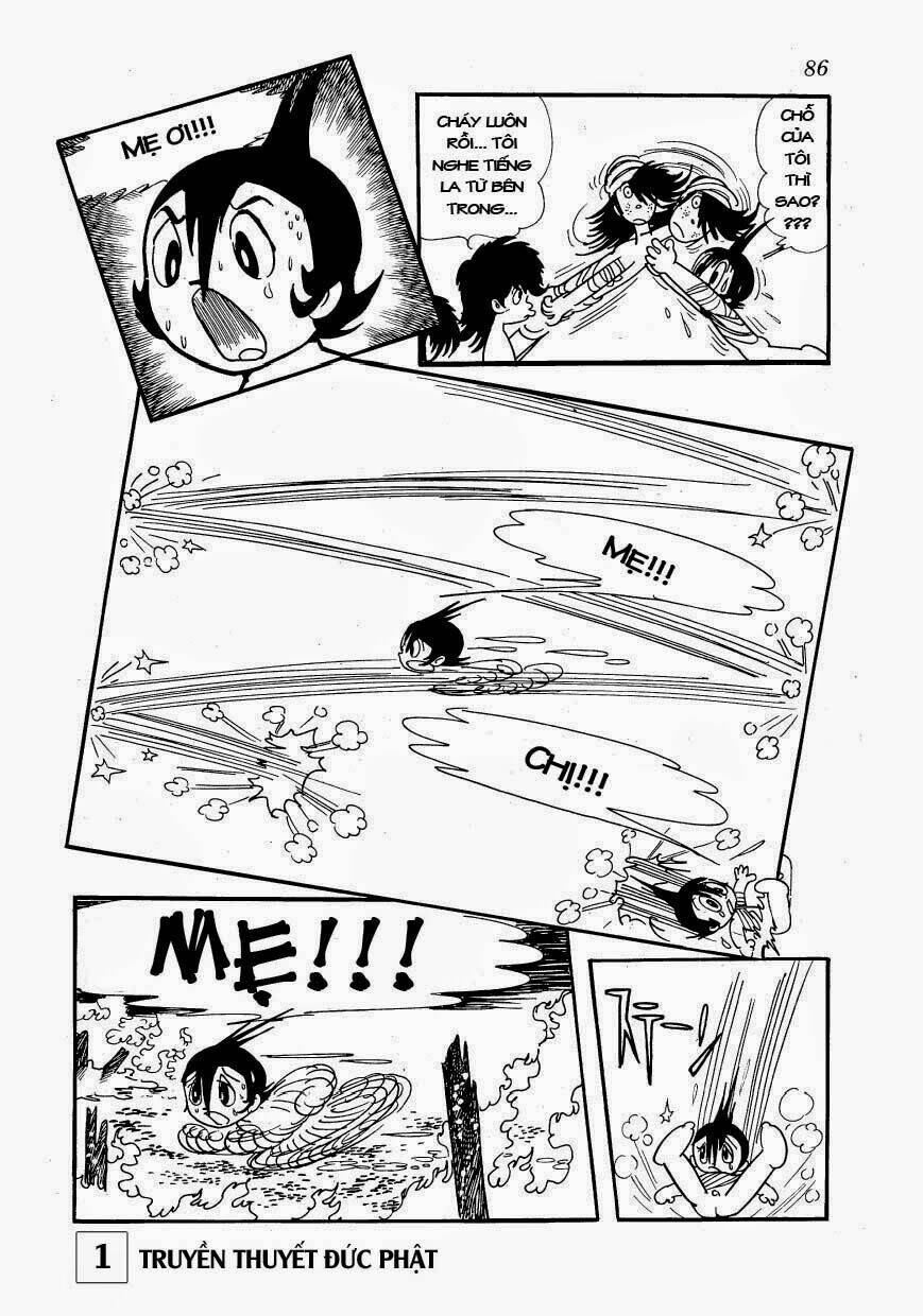 page_29.jpg