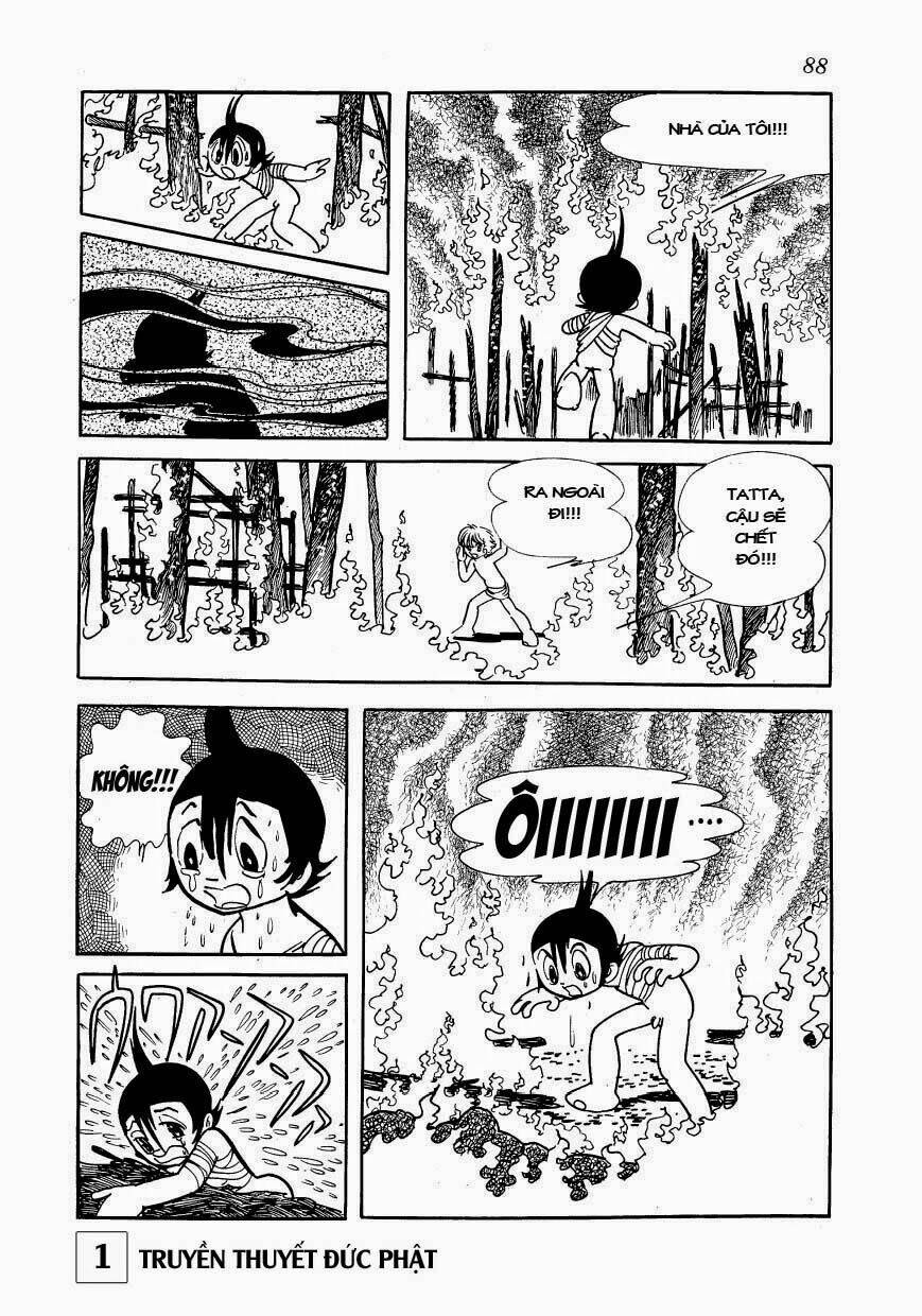 page_31.jpg