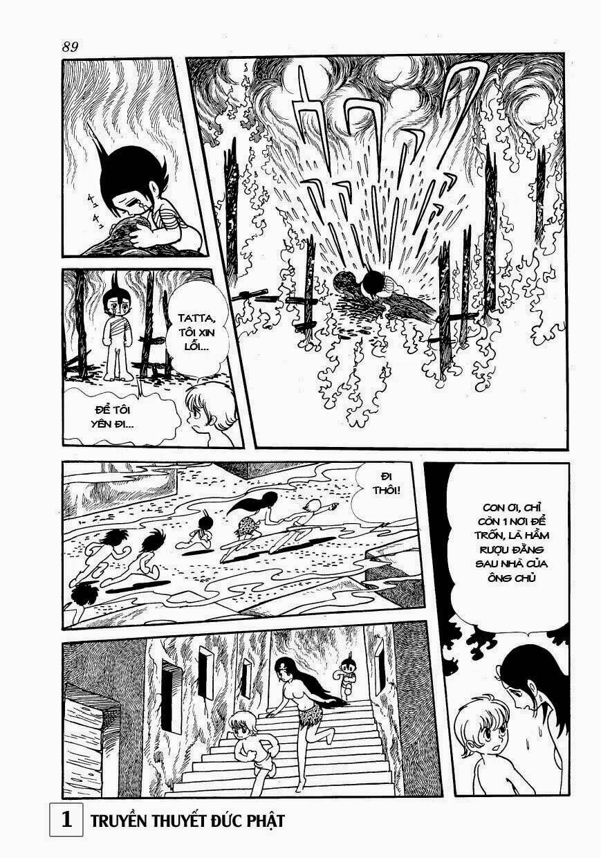 page_32.jpg