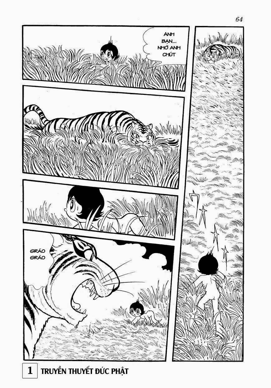 page_7.jpg