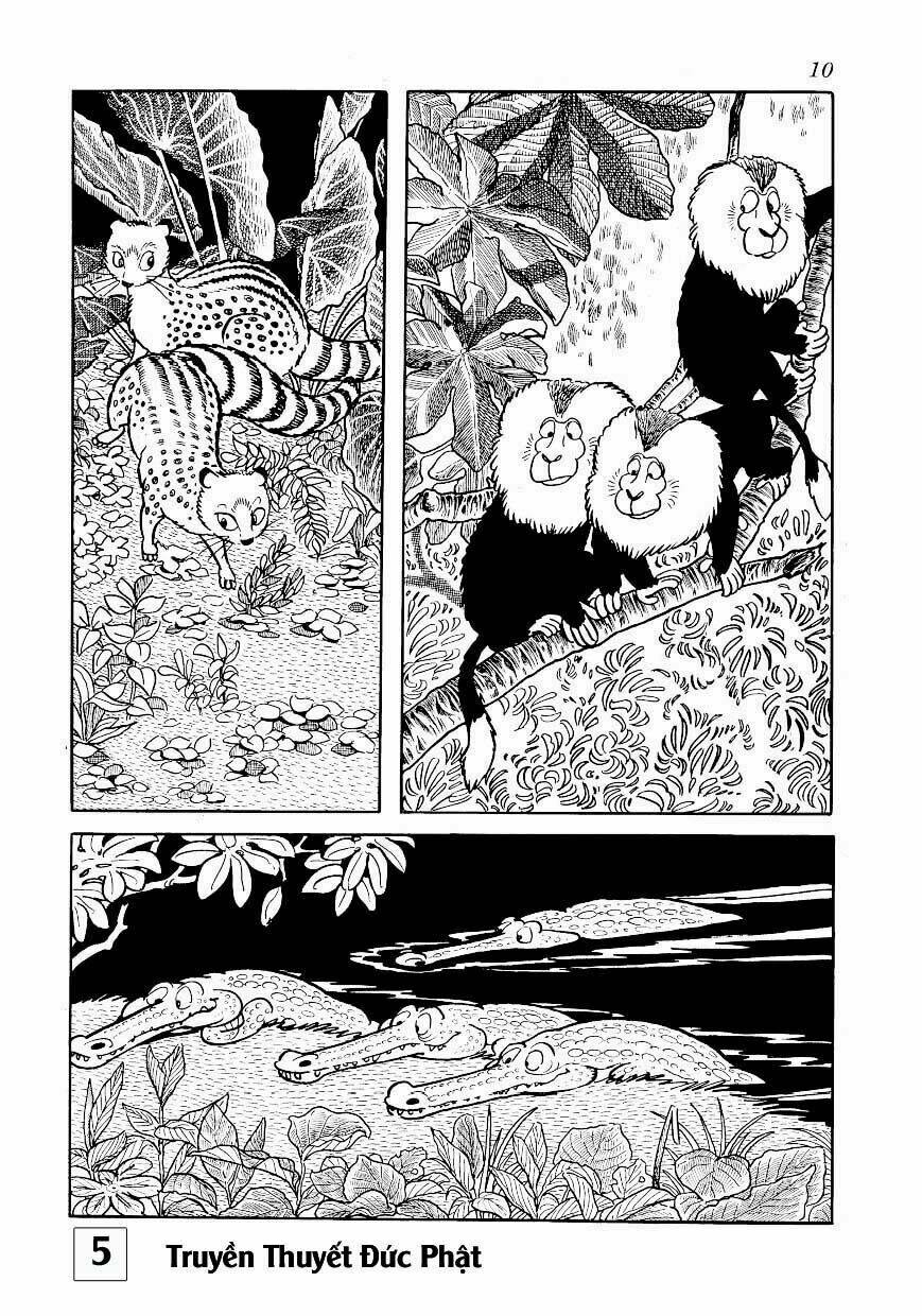 page_10.jpg