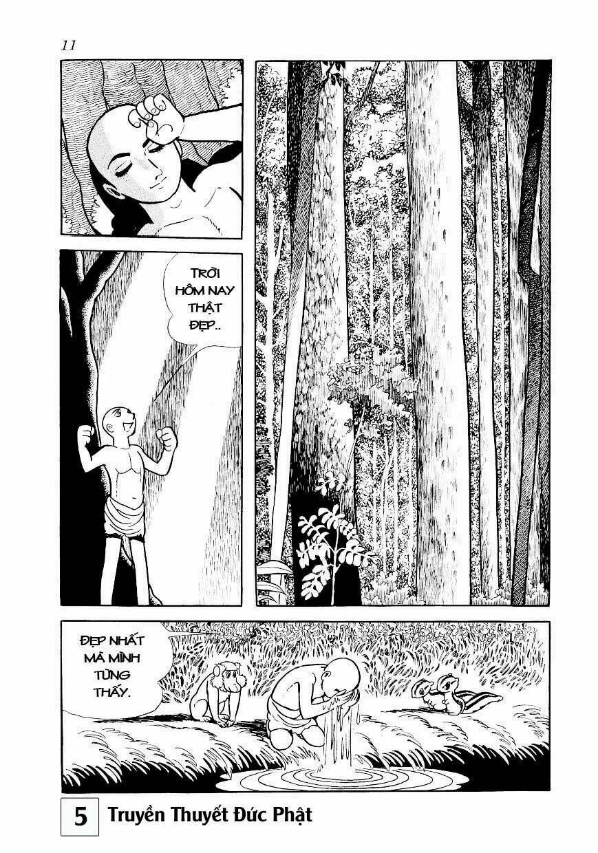 page_11.jpg