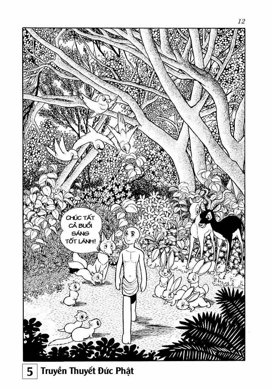 page_12.jpg