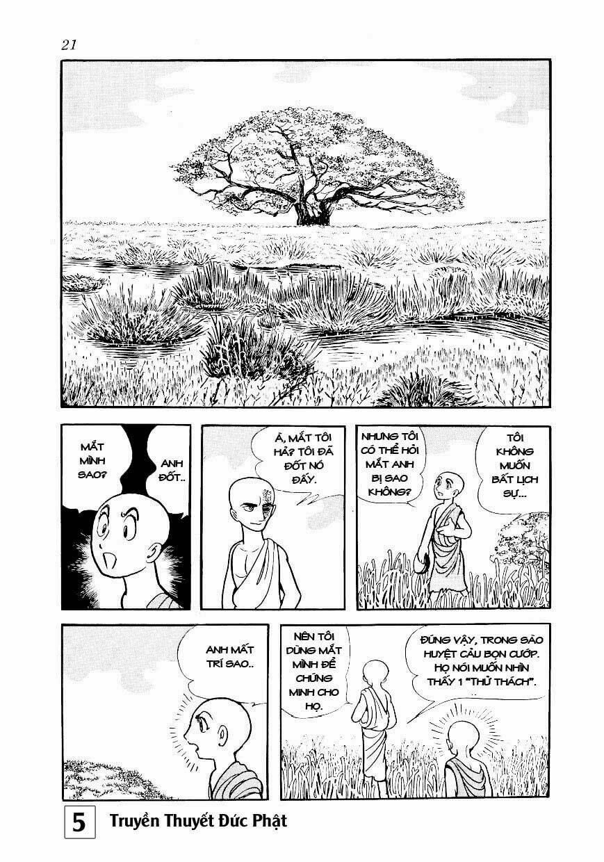 page_21.jpg