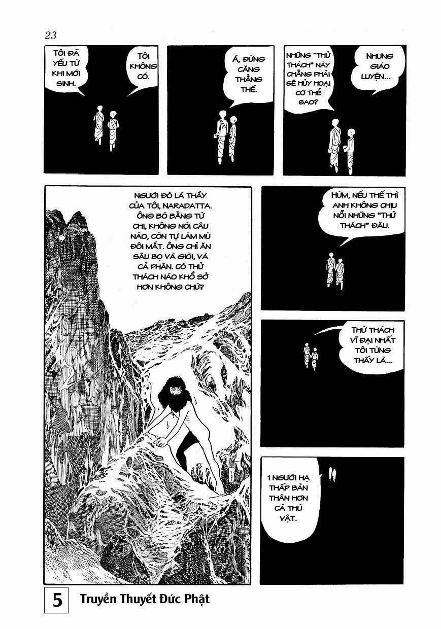 page_23.jpg