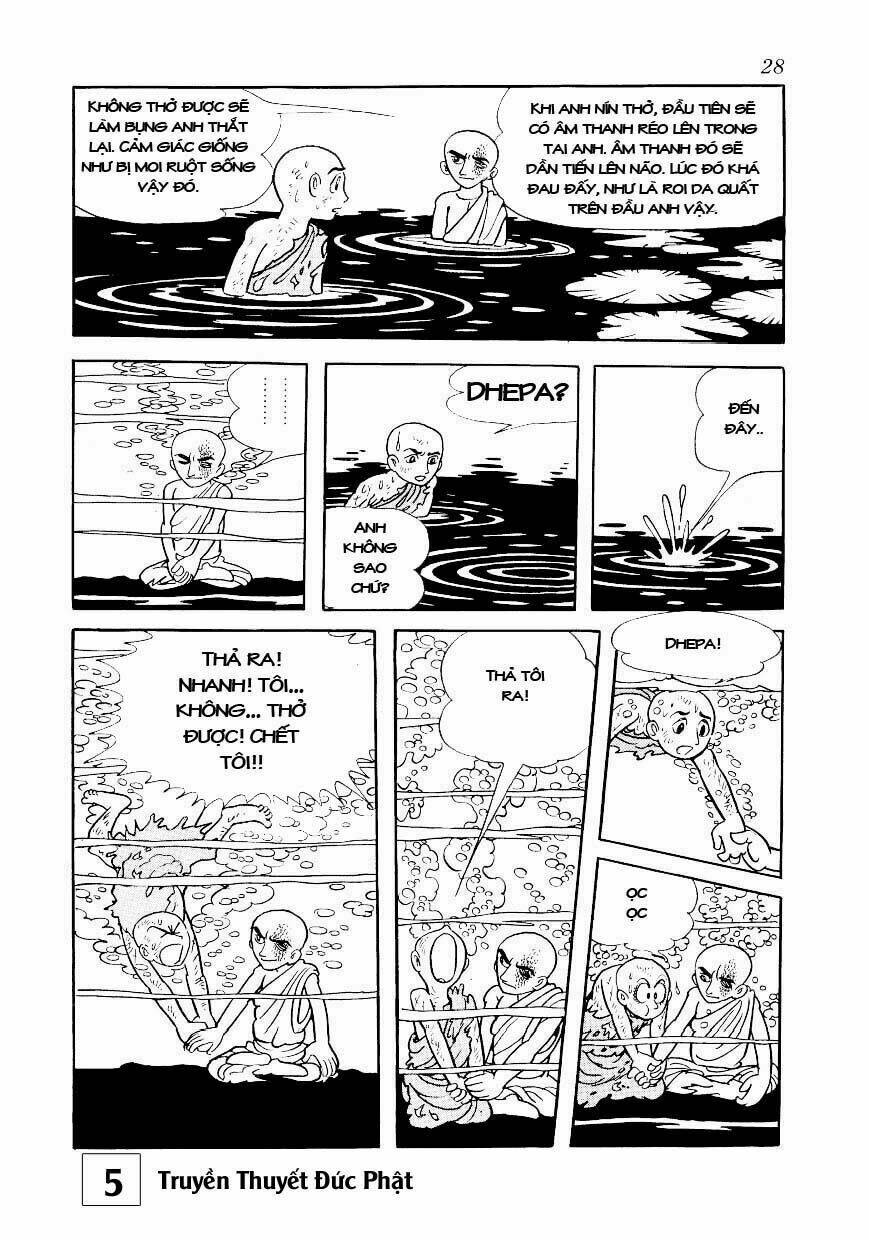 page_28.jpg