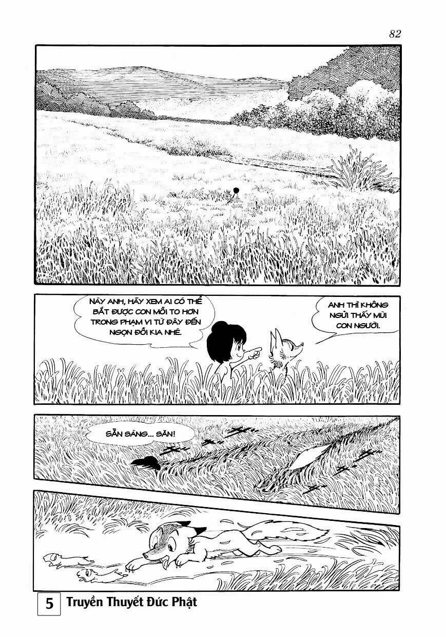 page_36.jpg