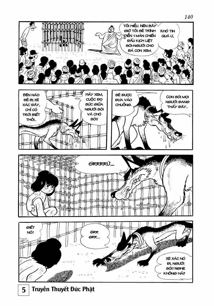 page_31.jpg