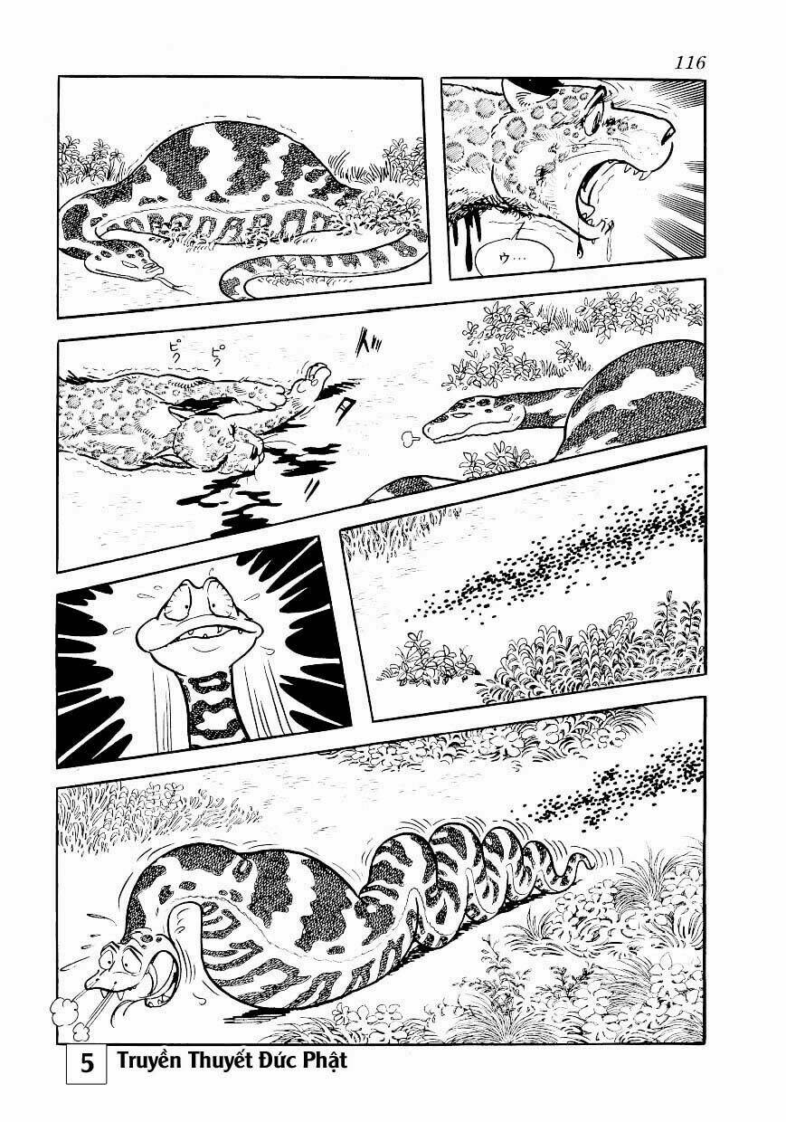 page_7.jpg