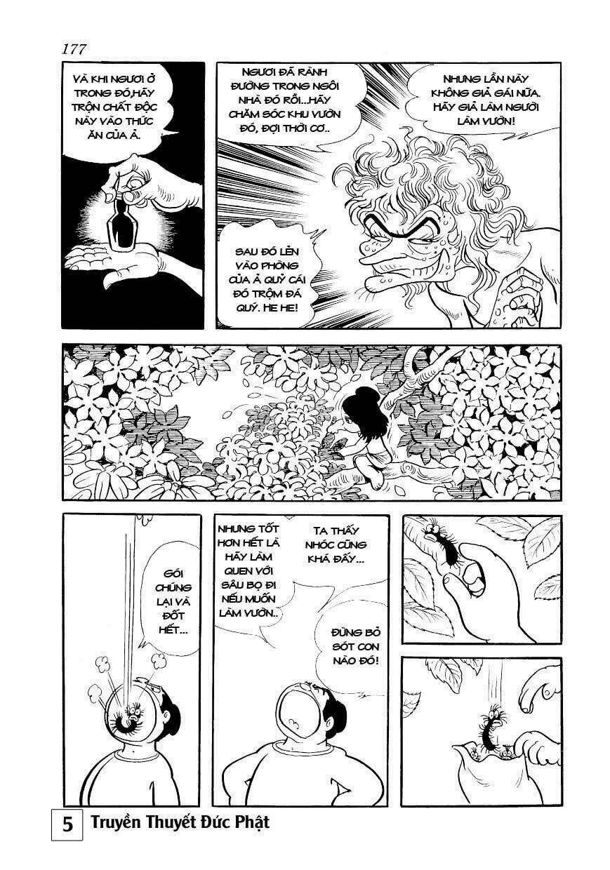 page_36.jpg