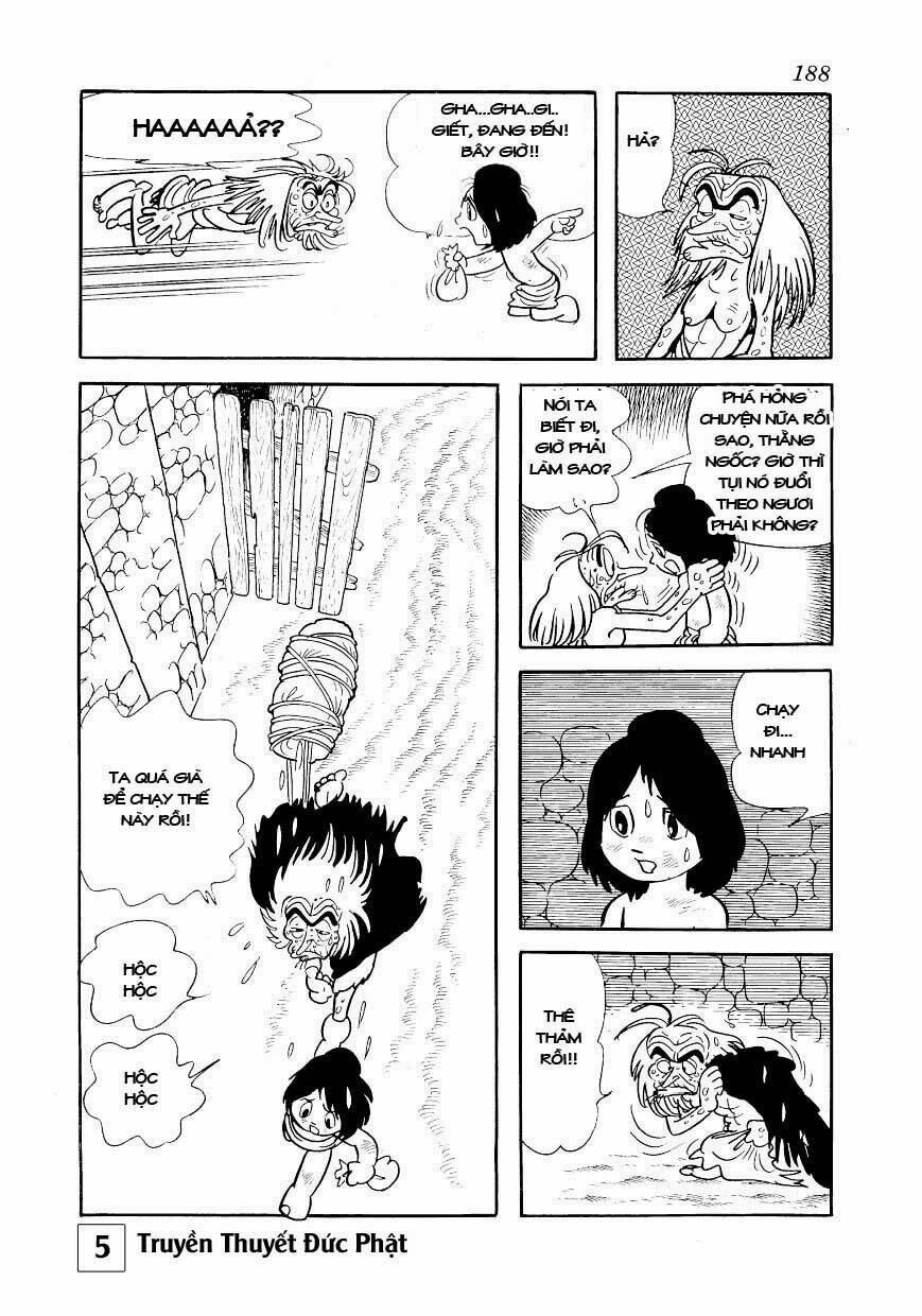 page_11.jpg