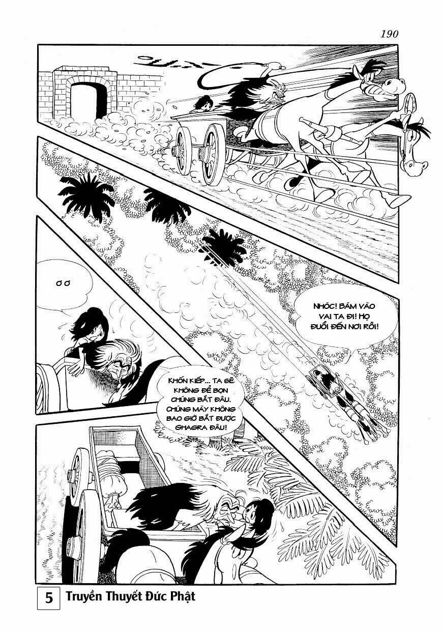 page_13.jpg