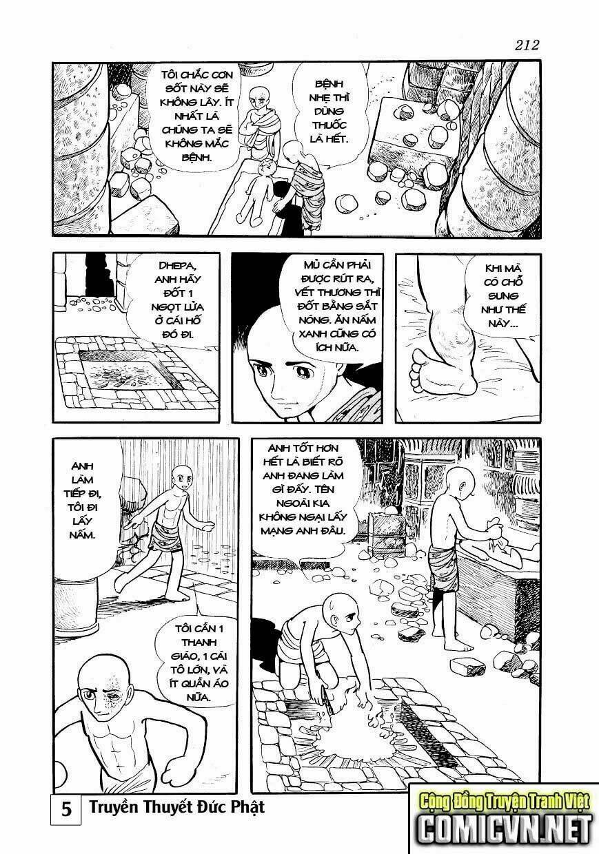 page_16.jpg