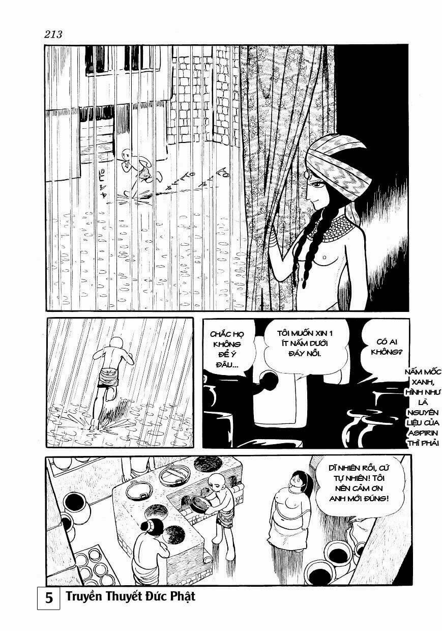 page_17.jpg