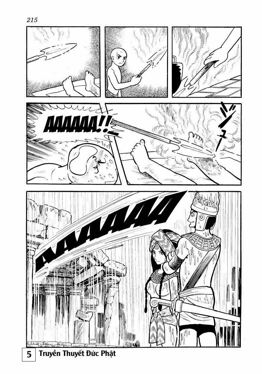 page_19.jpg