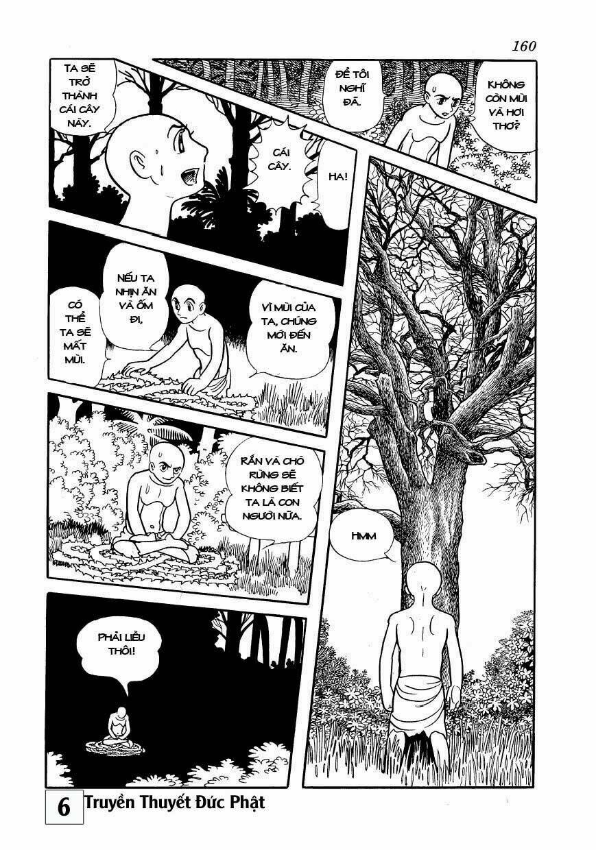 page_14.jpg
